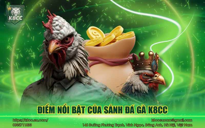 Đá gà K8CC - Sảnh cược cùng những chú gà dũng mãnh 3 Điểm nổi bật của sảnh đá gà K8CC