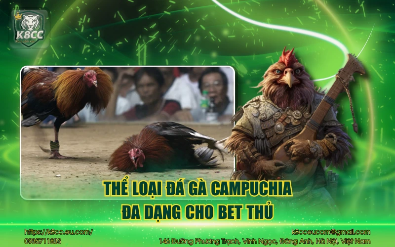 Đá gà Campuchia – Trải nghiệm cực gay cấn cho bet thủ 4 Thể loại đá gà Campuchia đa dạng cho bet thủ