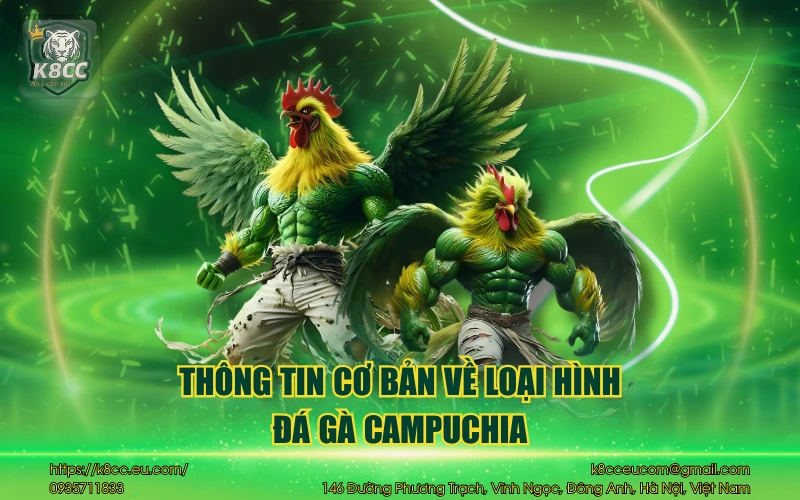 Đá gà Campuchia – Trải nghiệm cực gay cấn cho bet thủ 2 Thông tin cơ bản về loại hình đá gà Campuchia